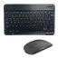 Spanish and Mouse